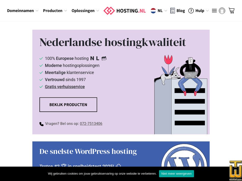 hosting.nl screenshot