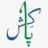 pakish.net Icon