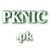 pknic.net.pk Icon