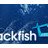 rackfish.com Icon