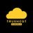 truehost.com.ng Icon