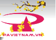 pavietnam.vn logo