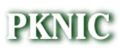 pknic.net.pk logo