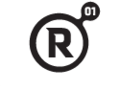 r01.ru logo